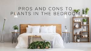 pros and cons to plants in the bedroom
