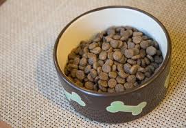 homemade dog food recipes for kidney