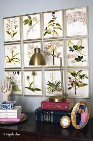 Diy Botanical Gallery Wall In The