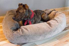 the best dog beds reviews by wirecutter