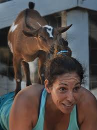 goats at your yoga cl