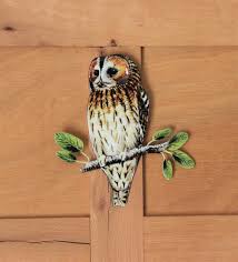 Hulotte Owl On Its Branch Indoor Or