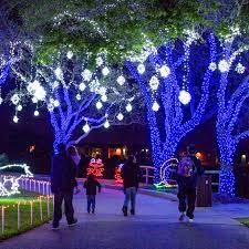 festival of lights at moody gardens