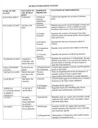 Chart Of Endocrine Glands And Hormones Human Endocrine