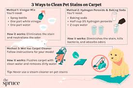 how to clean pet sns from carpet
