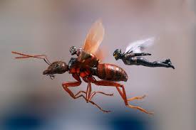 Resultado de imagen de ant-man y la avispa