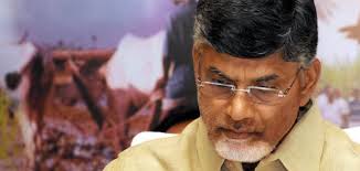 Image result for nellore tdp