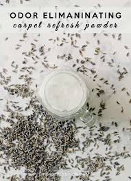 lavender deodorizing diy carpet powder