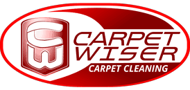 carpet cleaning professionals elgin