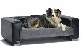 cool dog beds dog couch designer dog beds