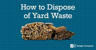 yard waste disposal budget dumpster