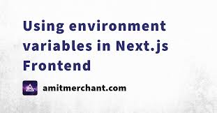 using environment variables in next js