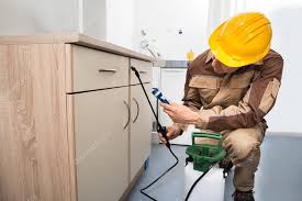 pre purchase pest inspection