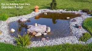 tips for building your own pond dot