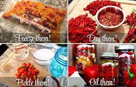 how to preserve chile peppers cayenne
