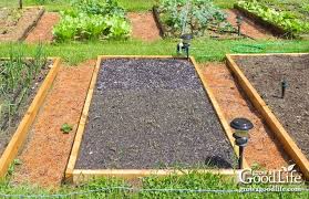 Vegetable Garden Mapping The Garden Beds