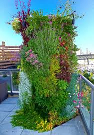 Vertical Gardens Greenery And Design