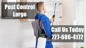 We utilize high tech radar to detect insect activity as an authorized termatrec t3i. Emergency Pest Control Curlew Domestic Exterminators Local Pest Control Services Largo