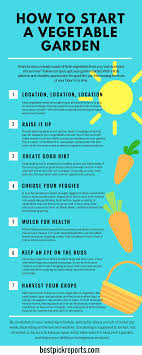 If the thought of healthy, homegrown food has you yearning for your own vegetable. Infographic On How To Start A Vegetable Garden Best Pick Reports