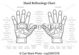 Hand Reflexology Chart Outline