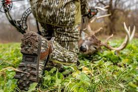 5 early season deer hunting tips