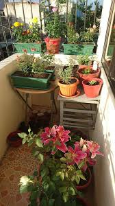 want to grow food in your home here s