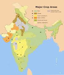 Rice Production In India Wikipedia