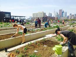 Curious About Urban Agriculture Check