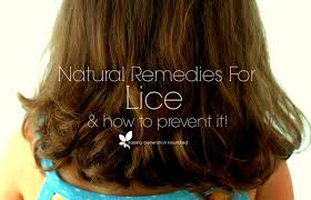 natural remes for lice how to