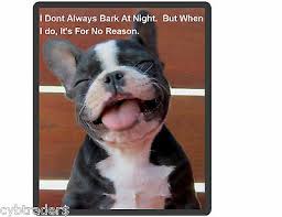 Features and shout outs available. Funny French Bull Dog Bark At Night Refrigerator Tool Box Magnet Ebay