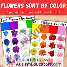 flowers sort by color activity