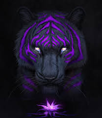 Purple-JadeMerien, tiger, black, purple, nature, painting, illustration, HD  phone wallpaper | Peakpx