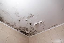 Is Mold In Bathroom Ceiling Harmful