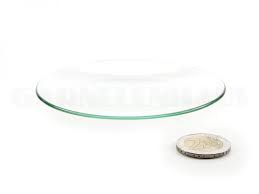 shallow glass food bowl 100 13 mm