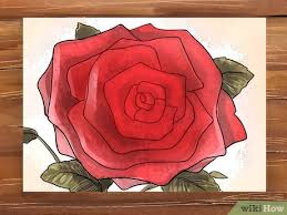 Berikut adalah gambar/foto mawar serta . 3 Cara Untuk Menggambar Bunga Mawar Wikihow
