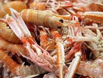 Why is langoustine so expensive?