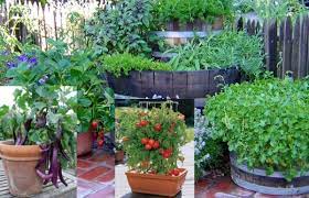 Indoor Gardening A Beginners Guide