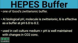 hepes buffer good s buffer