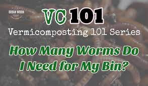 a worm compost bin