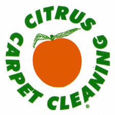 top 10 best chem dry carpet cleaners