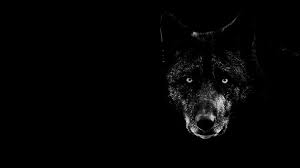 top black wolf background wolf hd