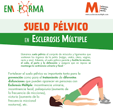 pelvic floor exercises poster ms