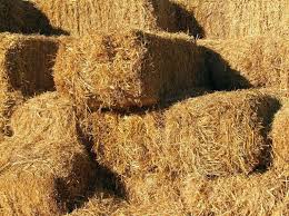 hay types for horses know the best