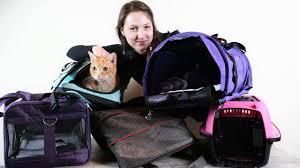 top 5 best cat carriers we tested them