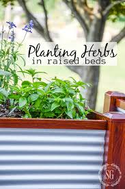 Planting Herbs In Raised Beds Stonegable