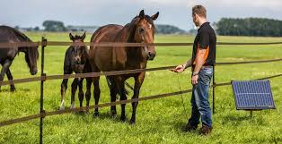How To Set Up Electric Fencing For Horses