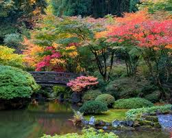 Japan Garden Bridge Singapore