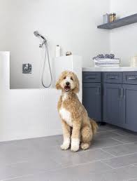 the best flooring for dogs the tile