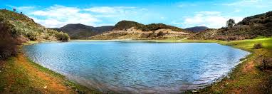 نتيجة بحث الصور عن algeria