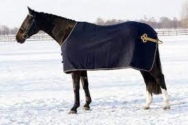 horse fleece rug at best in